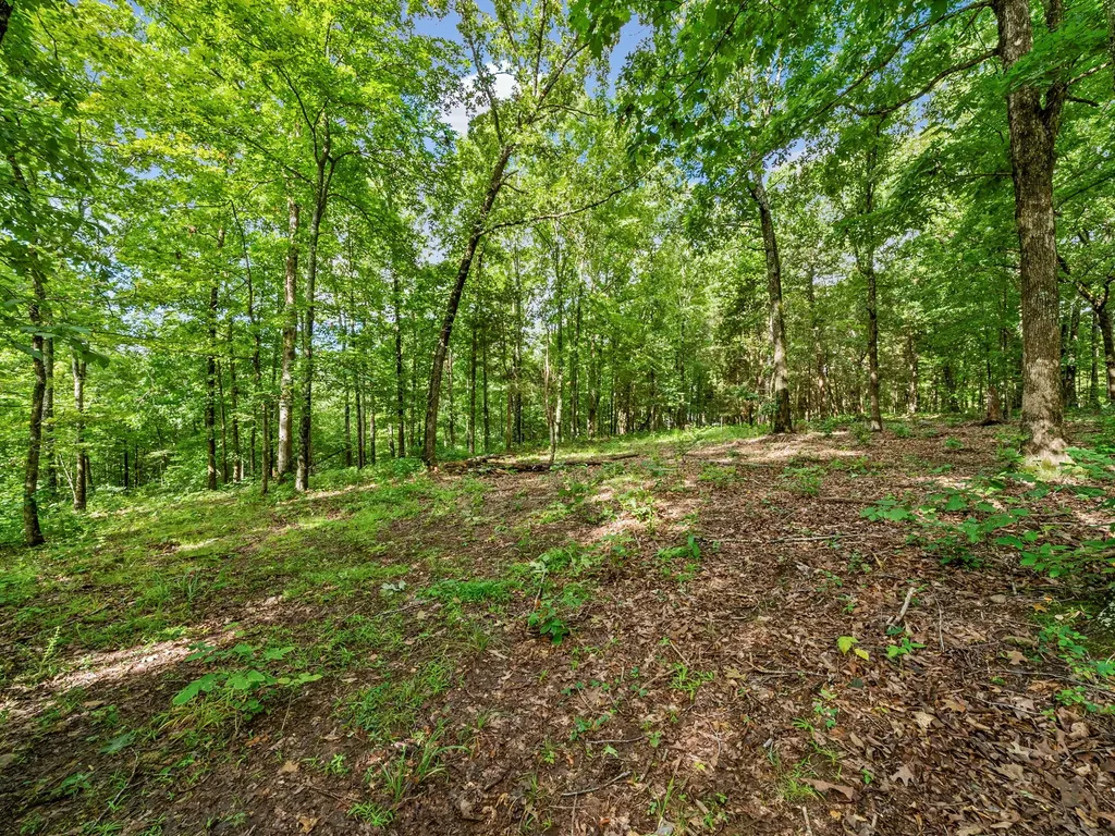 5021 Old Highway 13 Cumberland City TN 37050