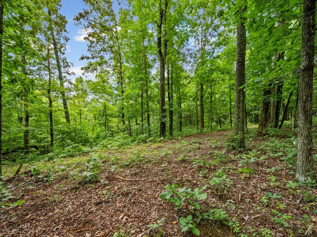 5021 Old Highway 13 Cumberland City TN 37050