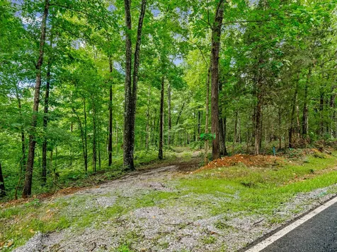 5021 Old Highway 13 Cumberland City TN 37050