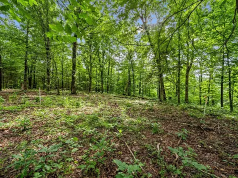5021 Old Highway 13 Cumberland City TN 37050