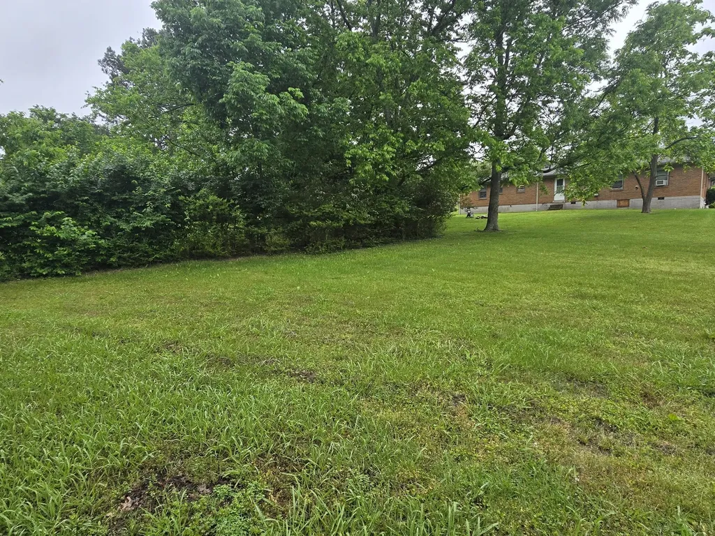 1645 White Drive Lewisburg TN 37091