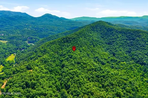 5 Wilhite Road Sevierville TN 37876