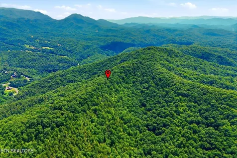5 Wilhite Road Sevierville TN 37876