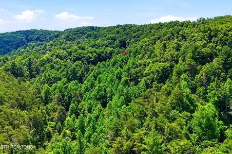 5 Wilhite Road Sevierville TN 37876