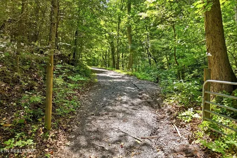5 Wilhite Road Sevierville TN 37876
