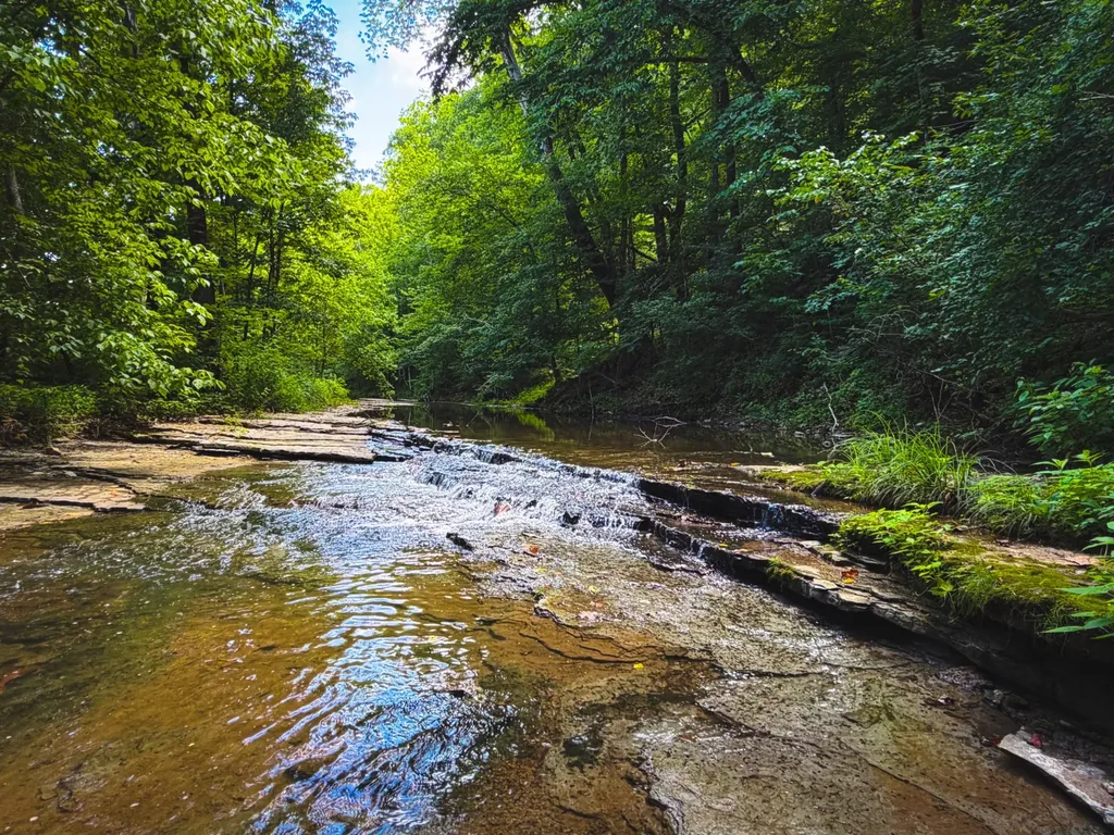5 N Lick Creek Road Franklin TN 37064
