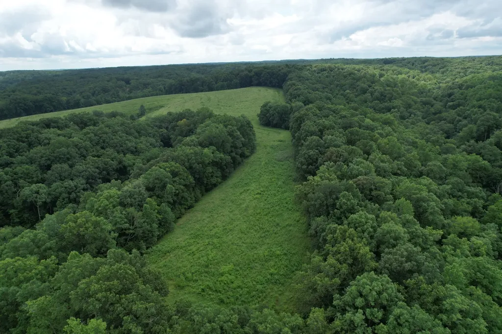 5 N Lick Creek Road Franklin TN 37064
