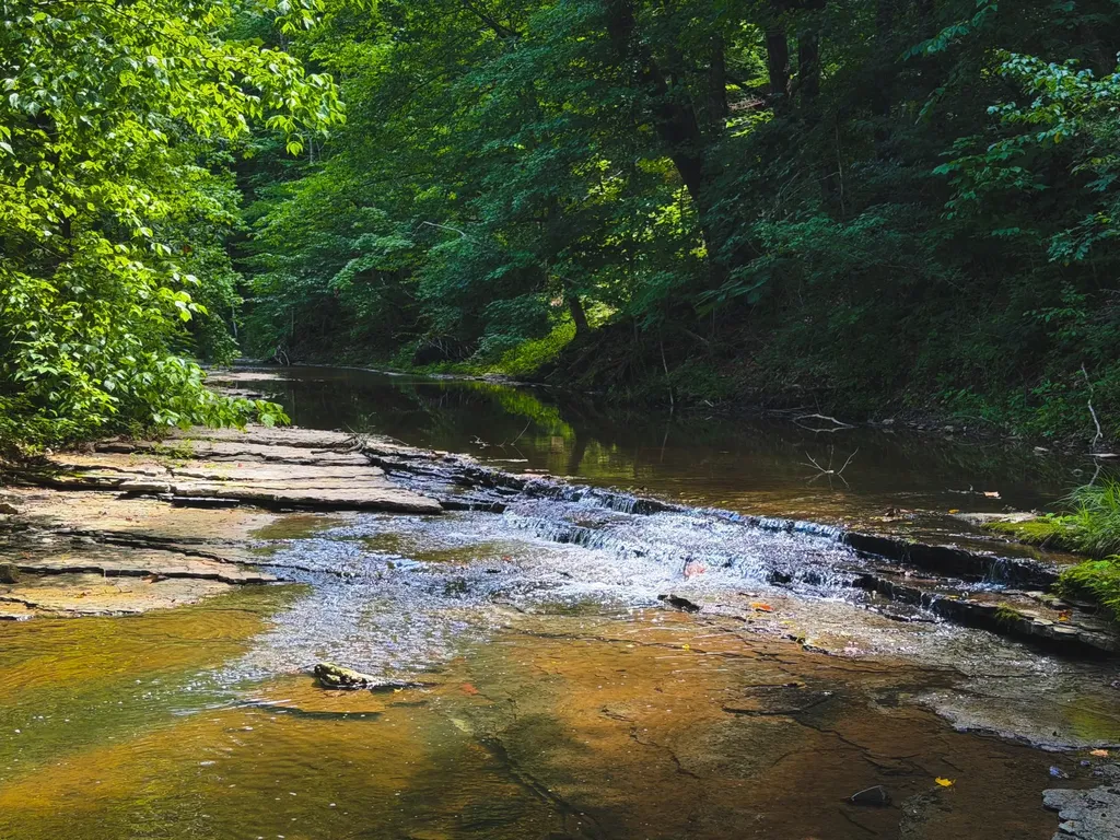 5 N Lick Creek Road Franklin TN 37064