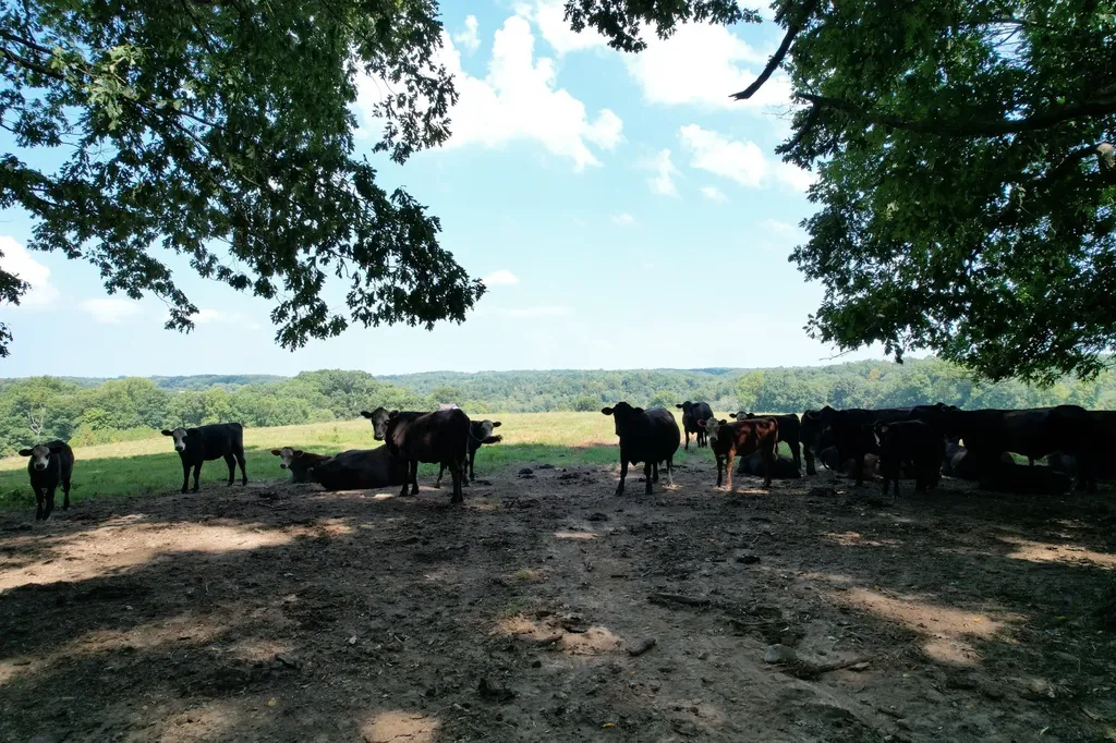 5 N Lick Creek Road Franklin TN 37064