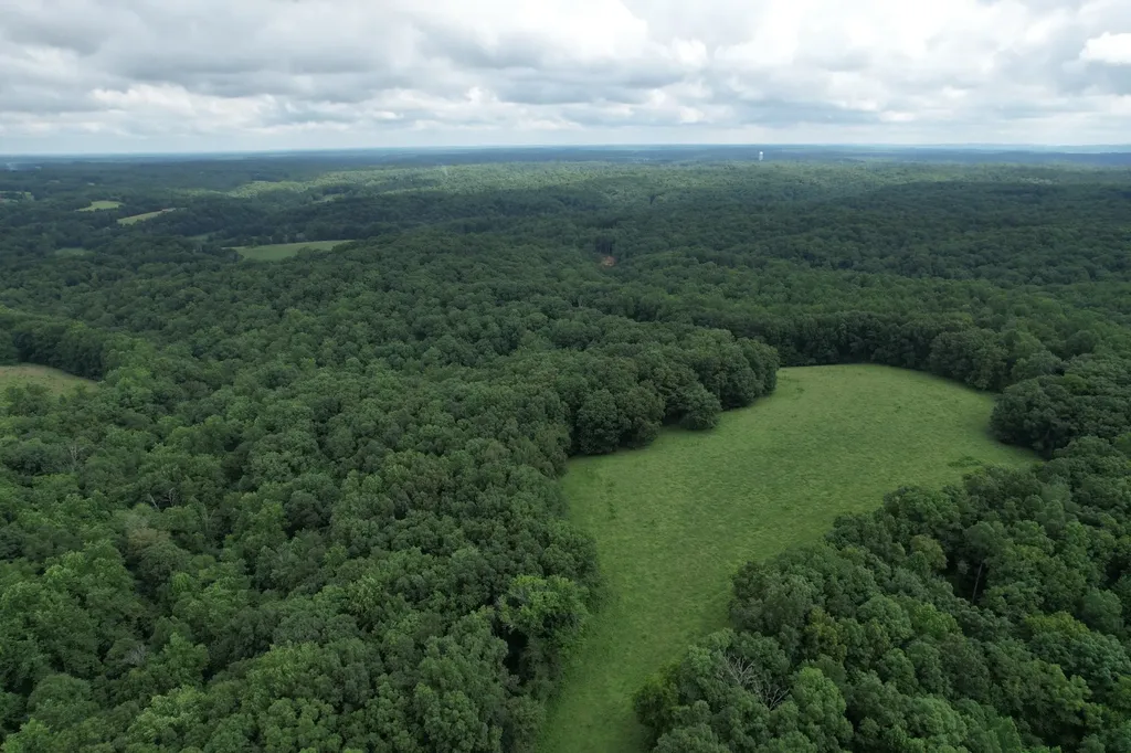 5 N Lick Creek Road Franklin TN 37064