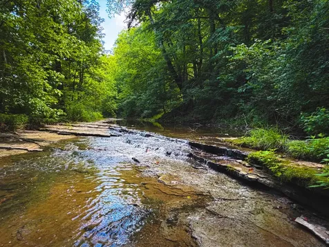 5 N Lick Creek Road Franklin TN 37064
