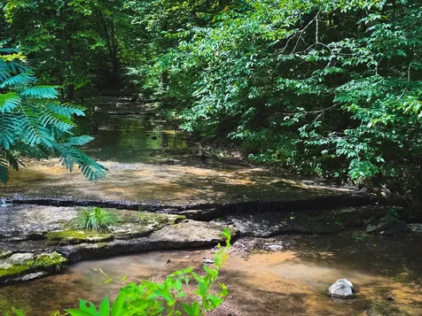 5 N Lick Creek Road Franklin TN 37064