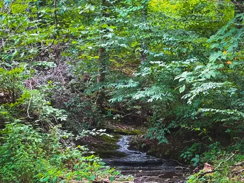 5 N Lick Creek Road Franklin TN 37064