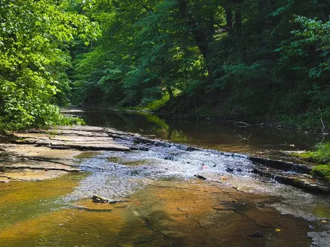 5 N Lick Creek Road Franklin TN 37064