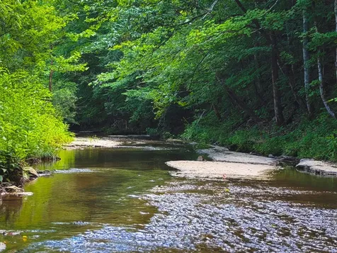 5 N Lick Creek Road Franklin TN 37064