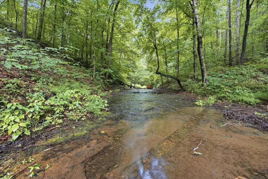 1425 Highway 49, E Ashland City TN 37015