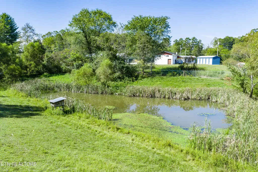 107 Cherry Street Deer Lodge TN 37726