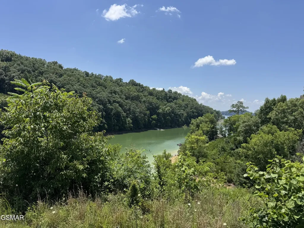 30 Stone Shore Way Dandridge TN 37725