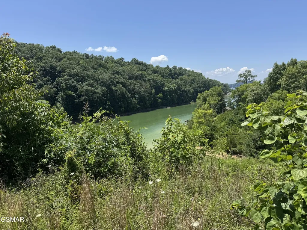 30 Stone Shore Way Dandridge TN 37725