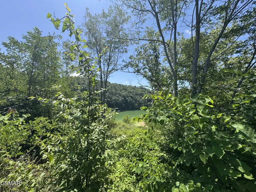 30 Stone Shore Way Dandridge TN 37725