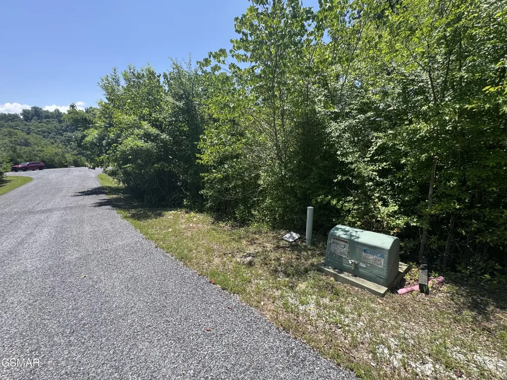 30 Stone Shore Way Dandridge TN 37725