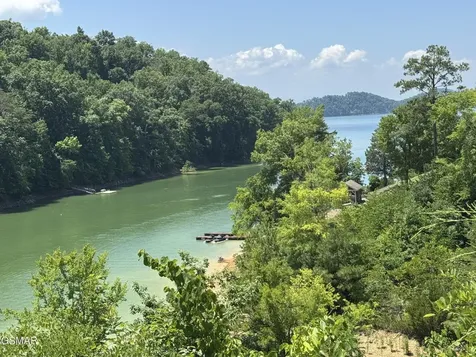 30 Stone Shore Way Dandridge TN 37725