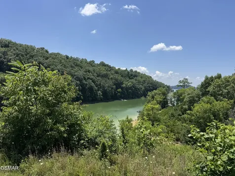 30 Stone Shore Way Dandridge TN 37725
