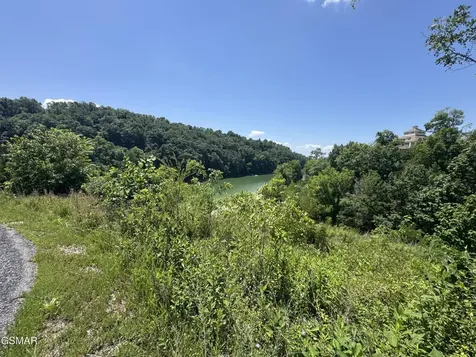 30 Stone Shore Way Dandridge TN 37725