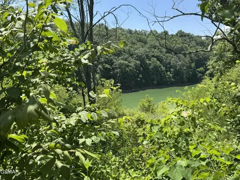 30 Stone Shore Way Dandridge TN 37725