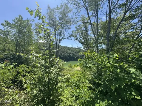 30 Stone Shore Way Dandridge TN 37725