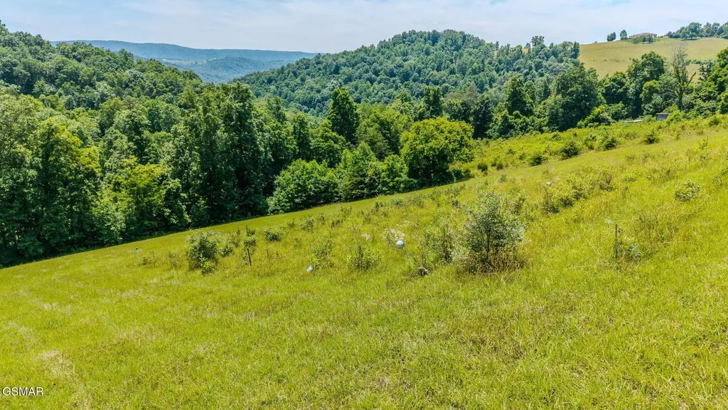 1563 Raven Hill Road Tazewell TN 37879