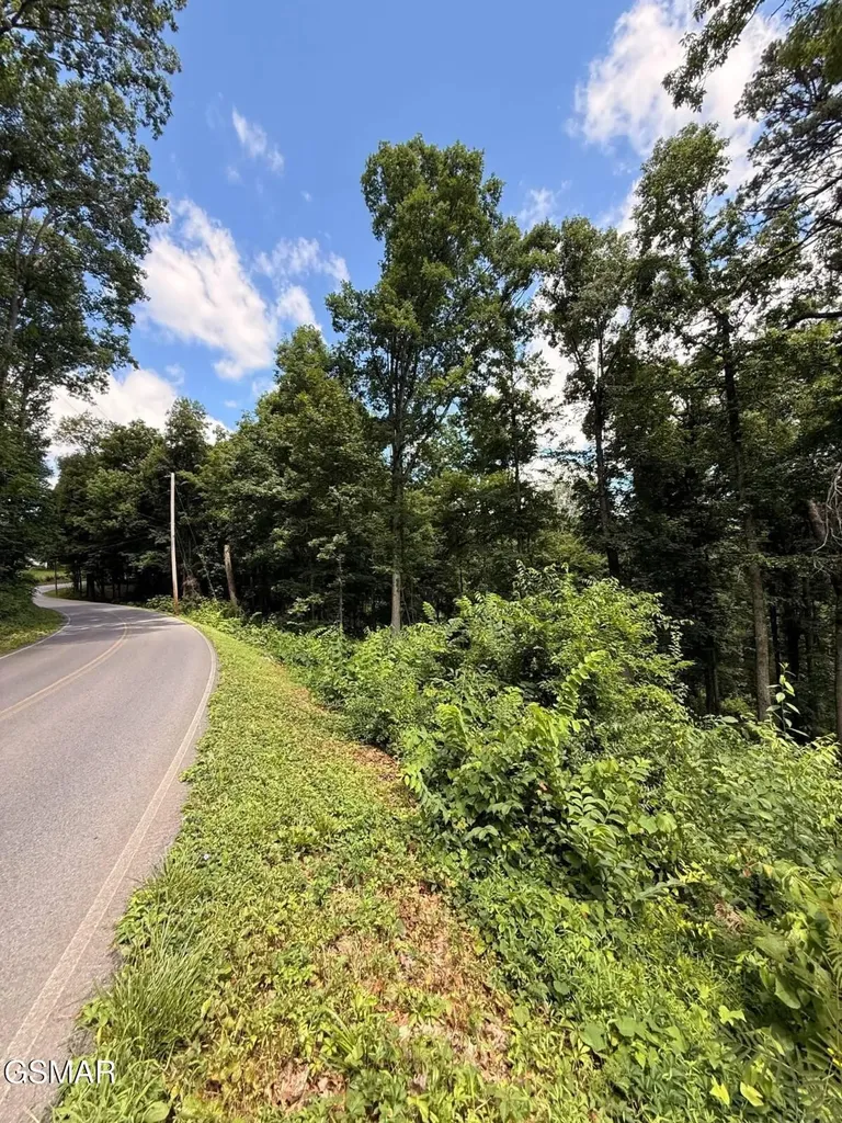 12 Cherokee Drive Dandridge TN 37725