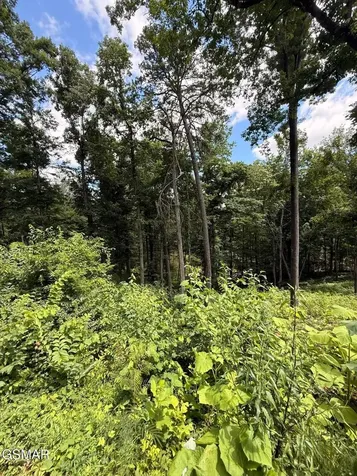 12 Cherokee Drive Dandridge TN 37725