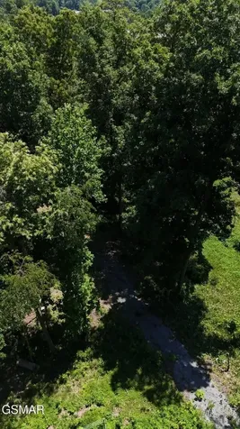 12 Cherokee Drive Dandridge TN 37725