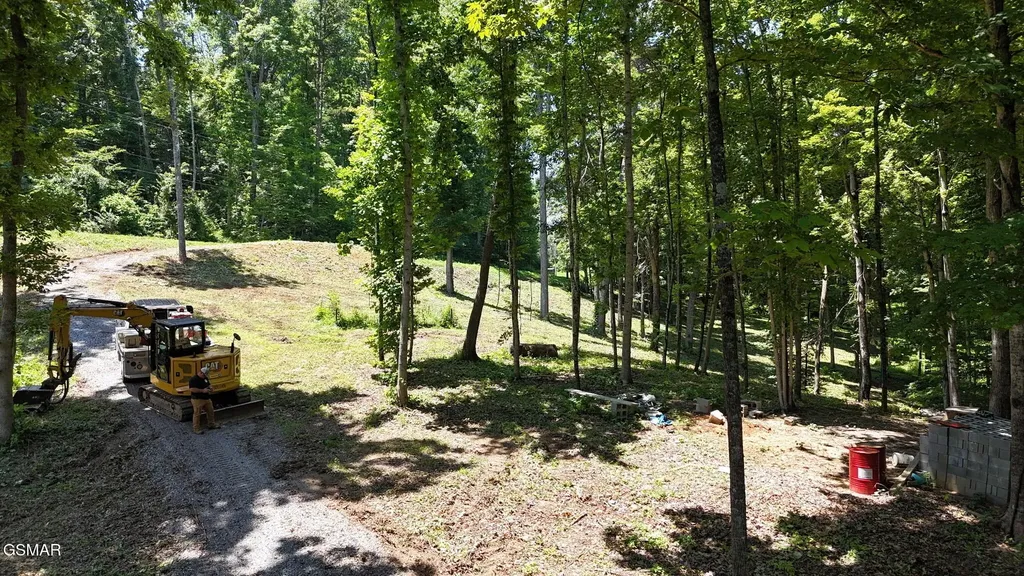 11 Cherokee Drive Dandridge TN 37725