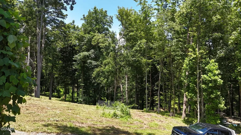 11 Cherokee Drive Dandridge TN 37725