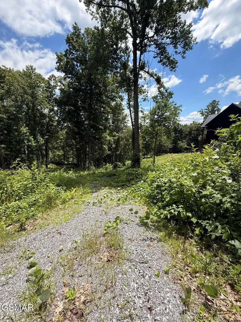 11 Cherokee Drive Dandridge TN 37725