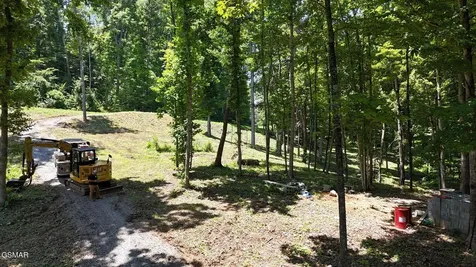 11 Cherokee Drive Dandridge TN 37725