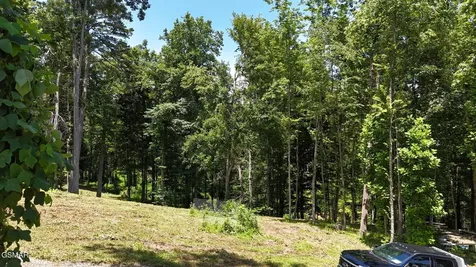 11 Cherokee Drive Dandridge TN 37725