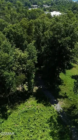 11 Cherokee Drive Dandridge TN 37725