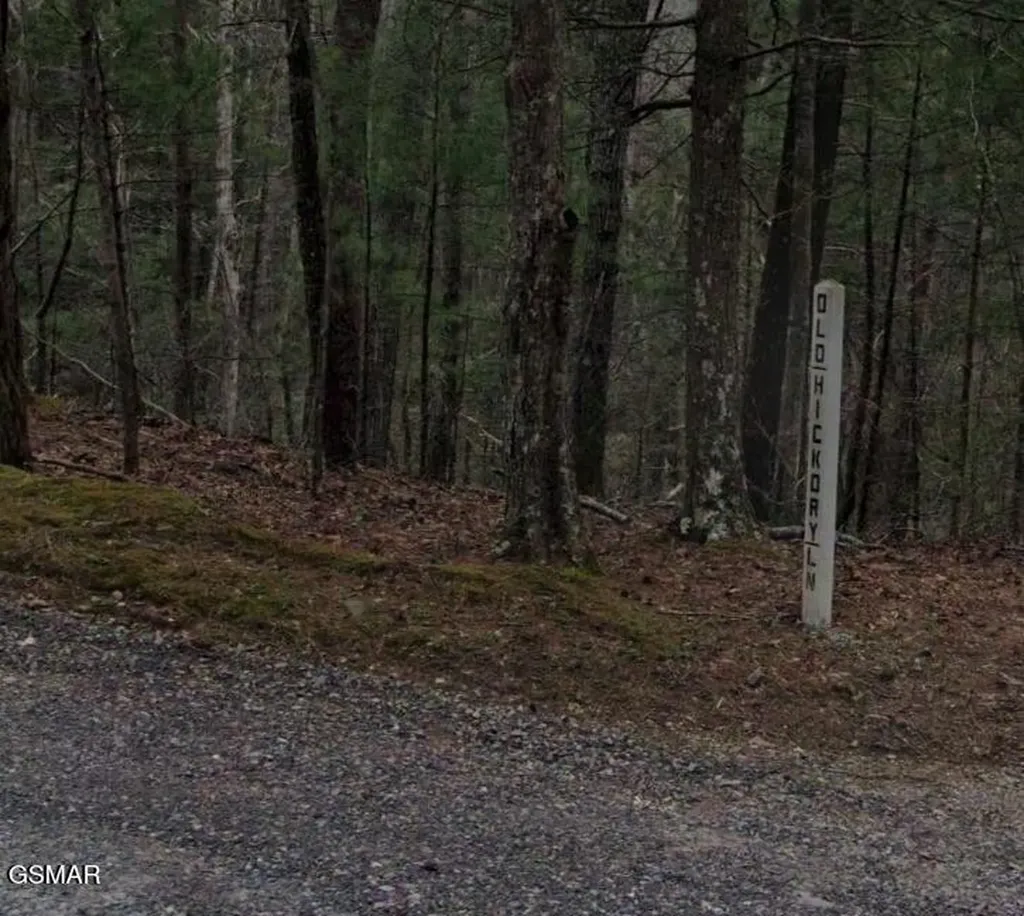 0 Old Hickory Road Tellico Plains TN 37385