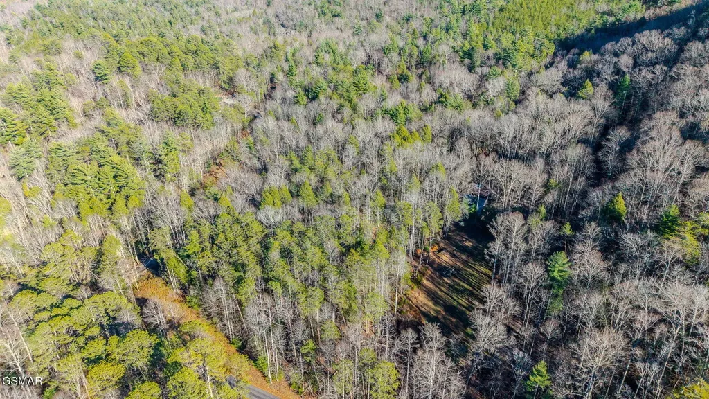 0 Old Hickory Road Tellico Plains TN 37385