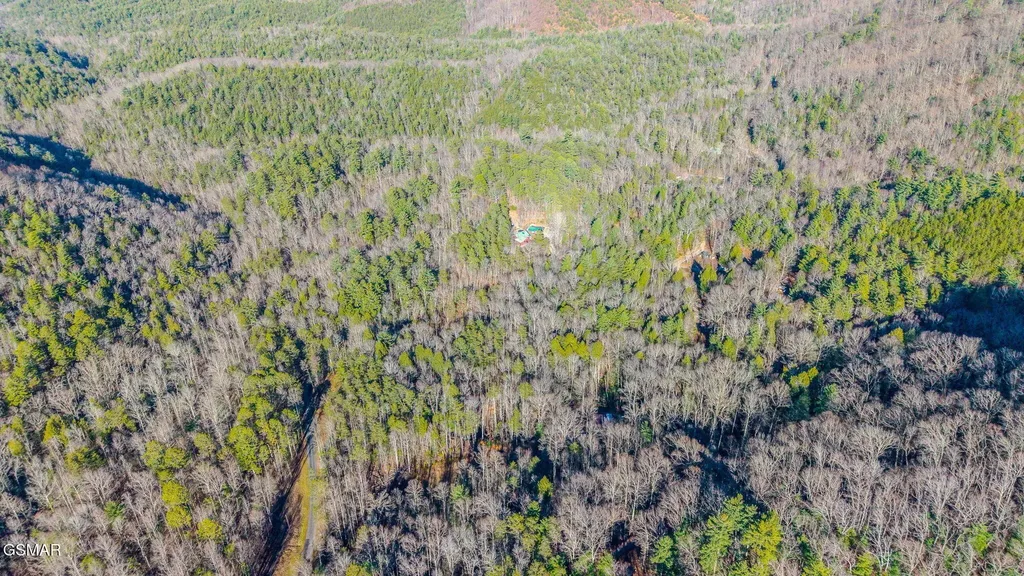 0 Old Hickory Road Tellico Plains TN 37385