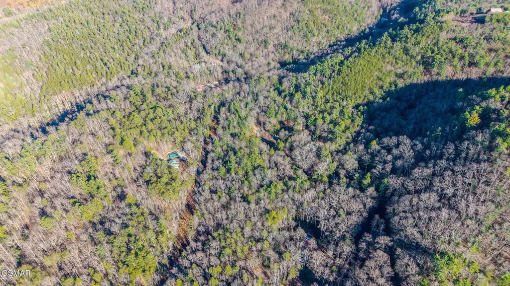 0 Old Hickory Road Tellico Plains TN 37385