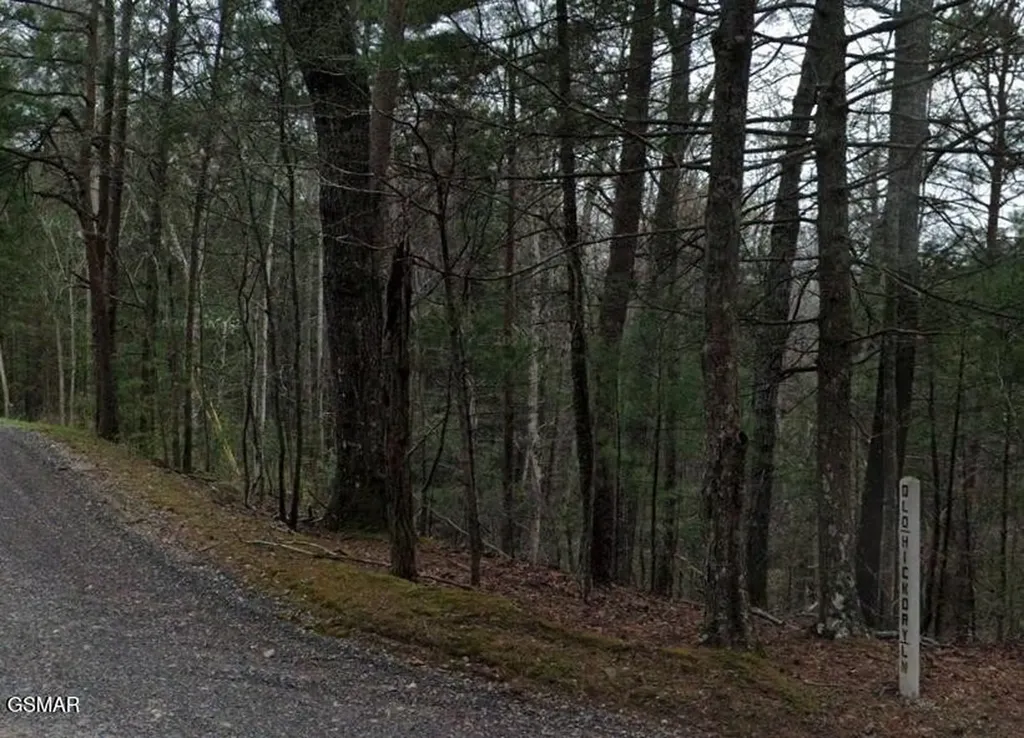 0 Old Hickory Road Tellico Plains TN 37385