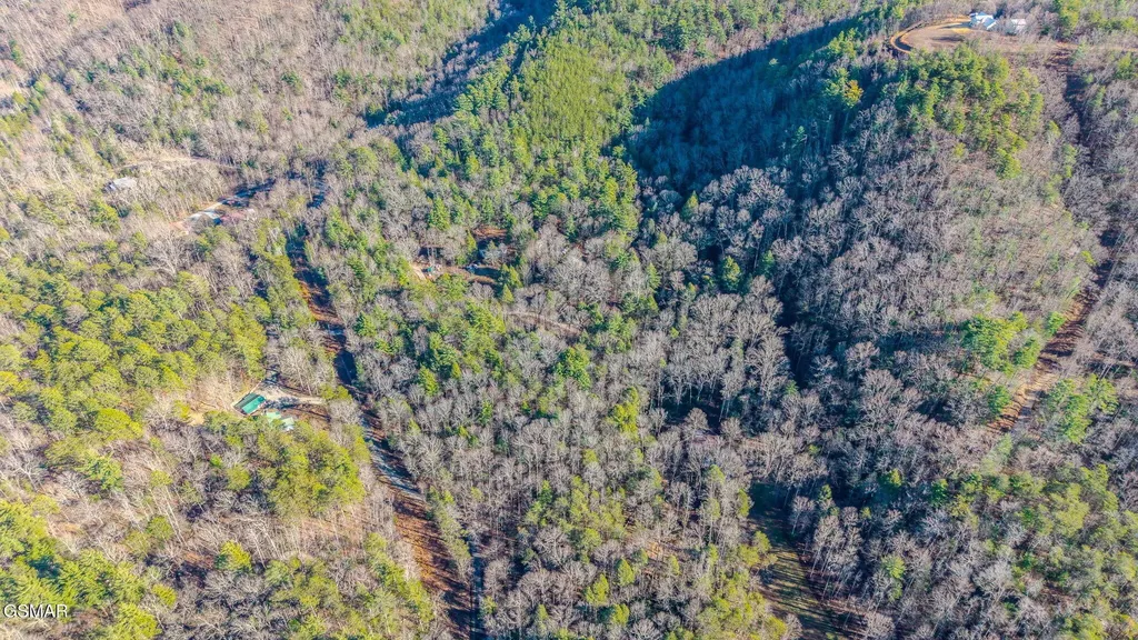 0 Old Hickory Road Tellico Plains TN 37385