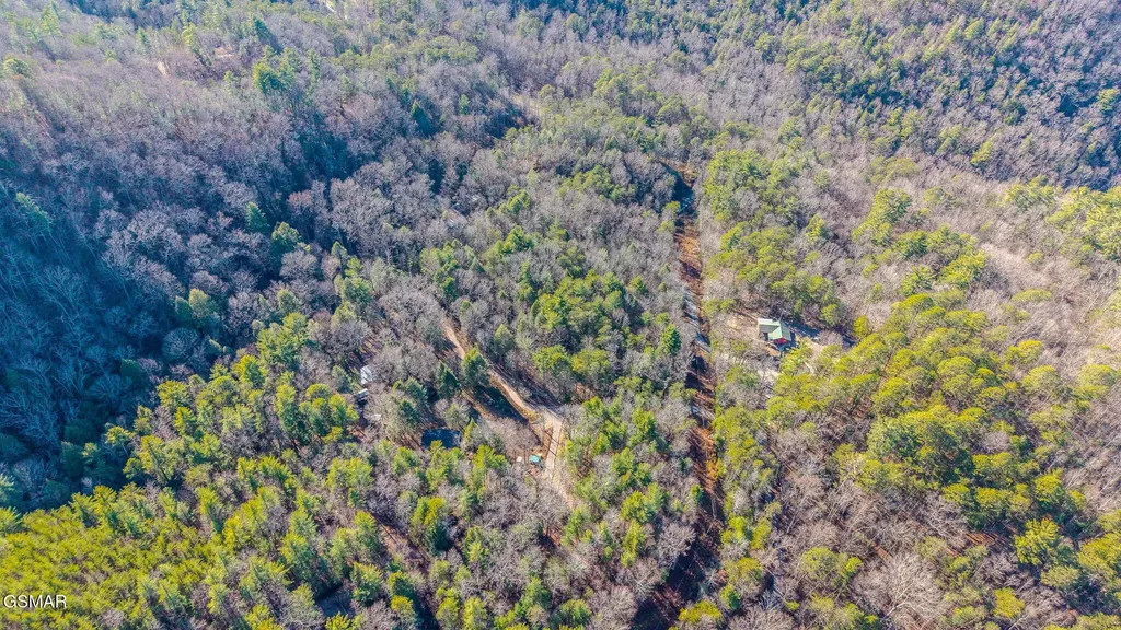0 Old Hickory Road Tellico Plains TN 37385