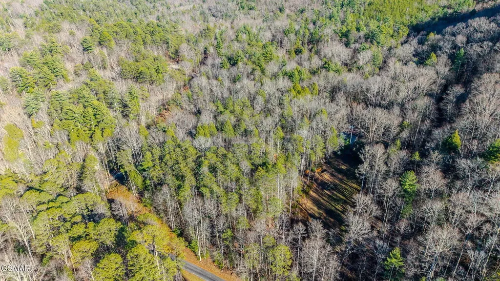 0 Old Hickory Road Tellico Plains TN 37385