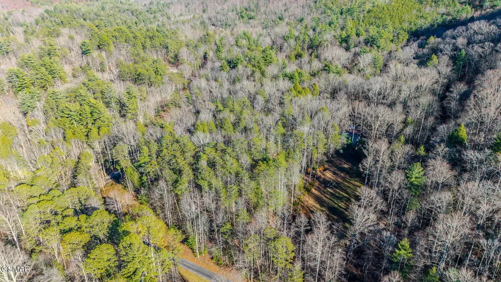 0 Old Hickory Road Tellico Plains TN 37385