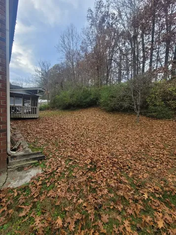 1204 Orchard Mountain Court Antioch TN 37013